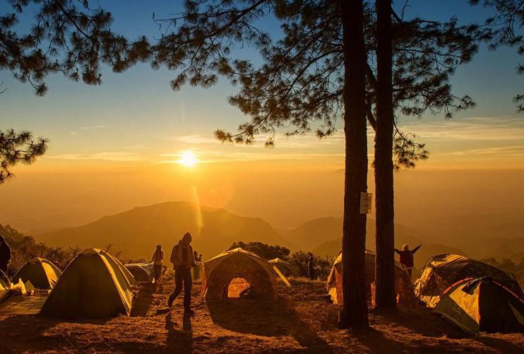 Construire votre site de camping parfait