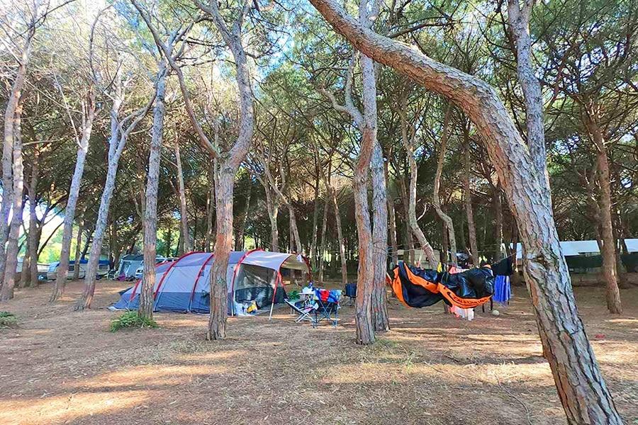Luxe, confort et convivialité au village de camping Is Arenas