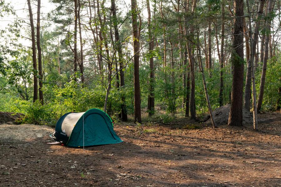  Les amoureux de la nature passionnés par le camping