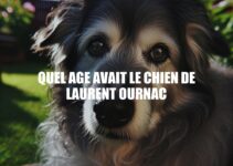 Âge du chien de Laurent Ournac : Tout ce que vous devez savoir