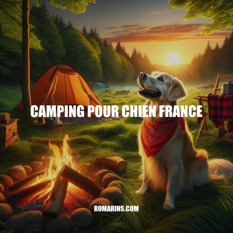 Camping avec Chien en France : Guide Complet