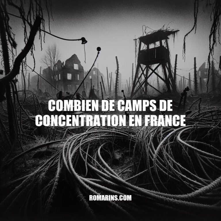 Camps de concentration en France : Histoire, Statistiques & Héritage