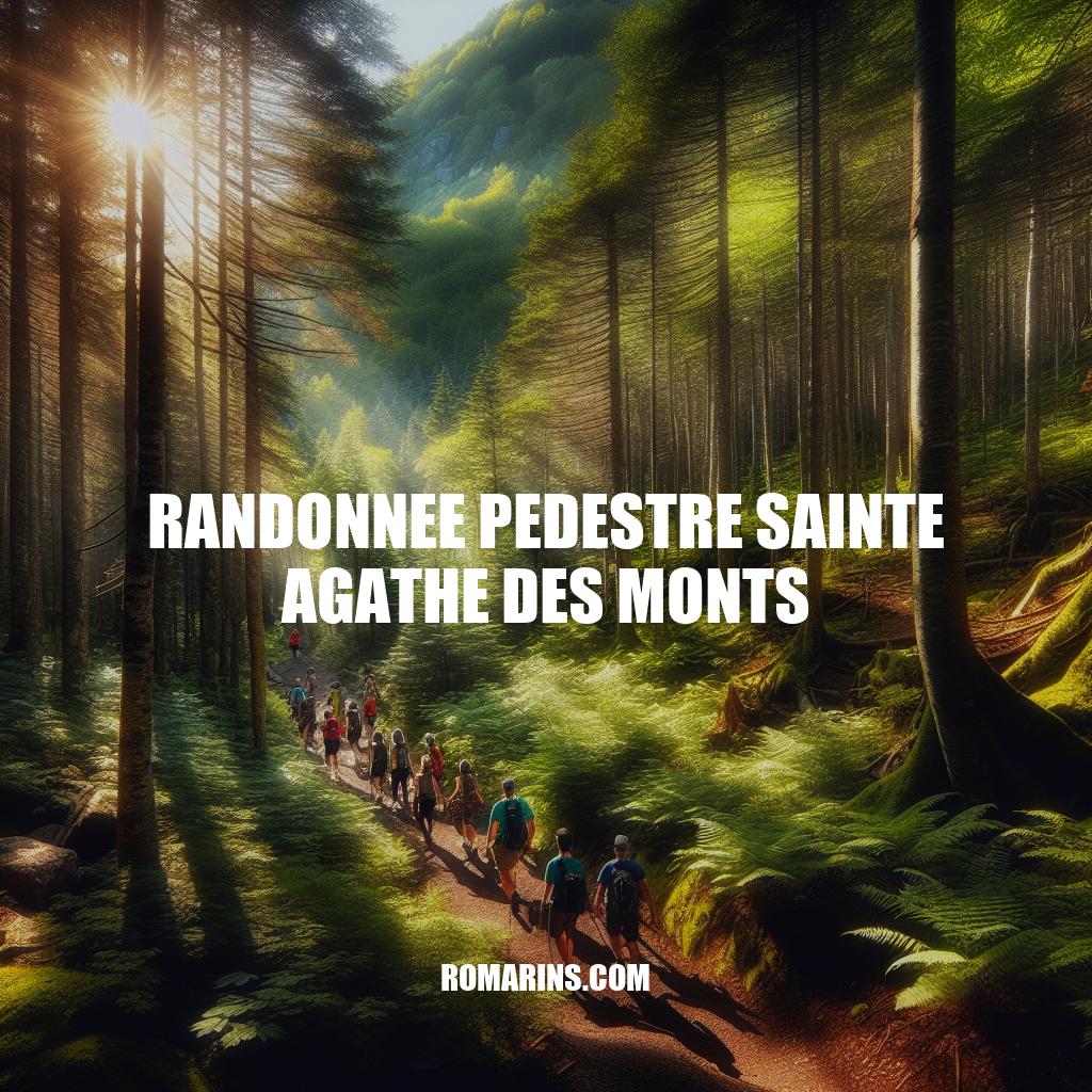 Découvrez la Randonnée Pédestre à Sainte Agathe des Monts