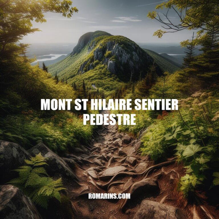 Exploration du Sentier Pédestre du Mont St-Hilaire : Guide complet