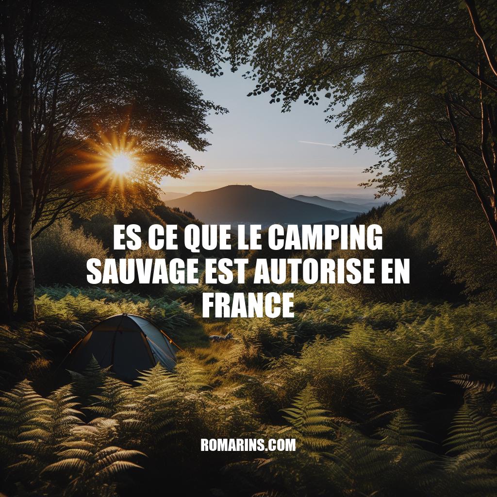 Le Camping Sauvage en France : Règles et Recommandations