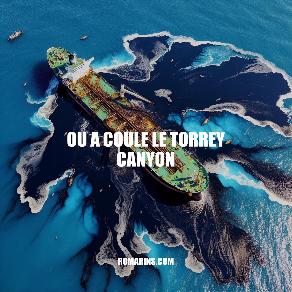 Le désastre du Torrey Canyon: une leçon pour l'écologie marine