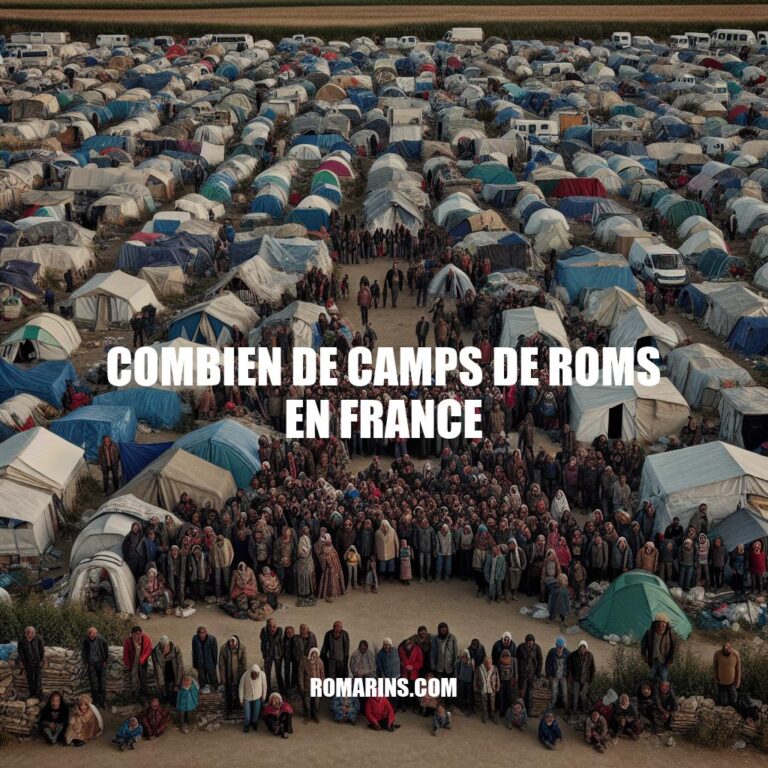 Les Camps de Roms en France : Situation Actuelle et Perspectives