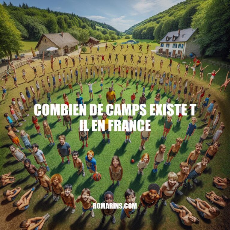 Les différents types de camps en France