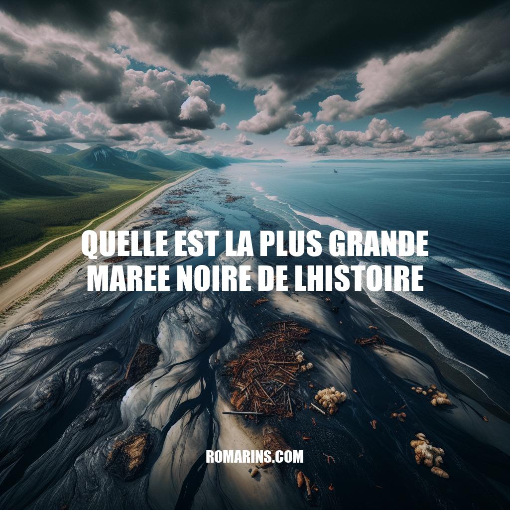 Les marées noires : historique et impact environnemental