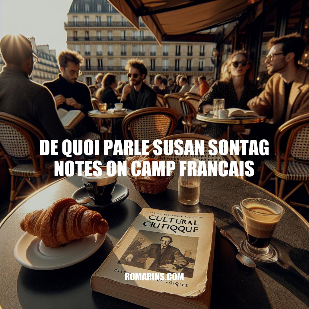 Notes sur le Camp de Susan Sontag : Influence Culturelle en France