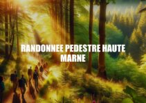 Randonnée Pédestre Haute Marne : Découvrez la Beauté Naturelle