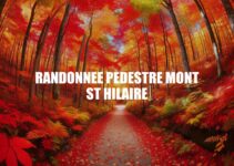Randonnée Pédestre Mont St Hilaire : Le Sentier Incontournable de la Nature Québécoise