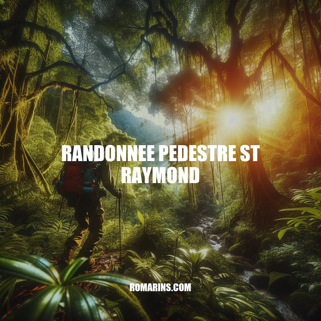 Randonnée Pédestre St Raymond: Aventure Naturelle