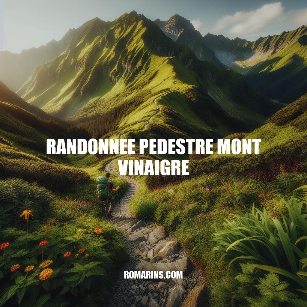 Randonnée au Mont Vinaigre : Guide complet pour une expérience inoubliable