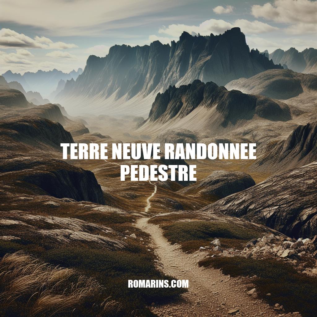 Randonnée pédestre à Terre Neuve : Guide complet pour les amateurs de la nature