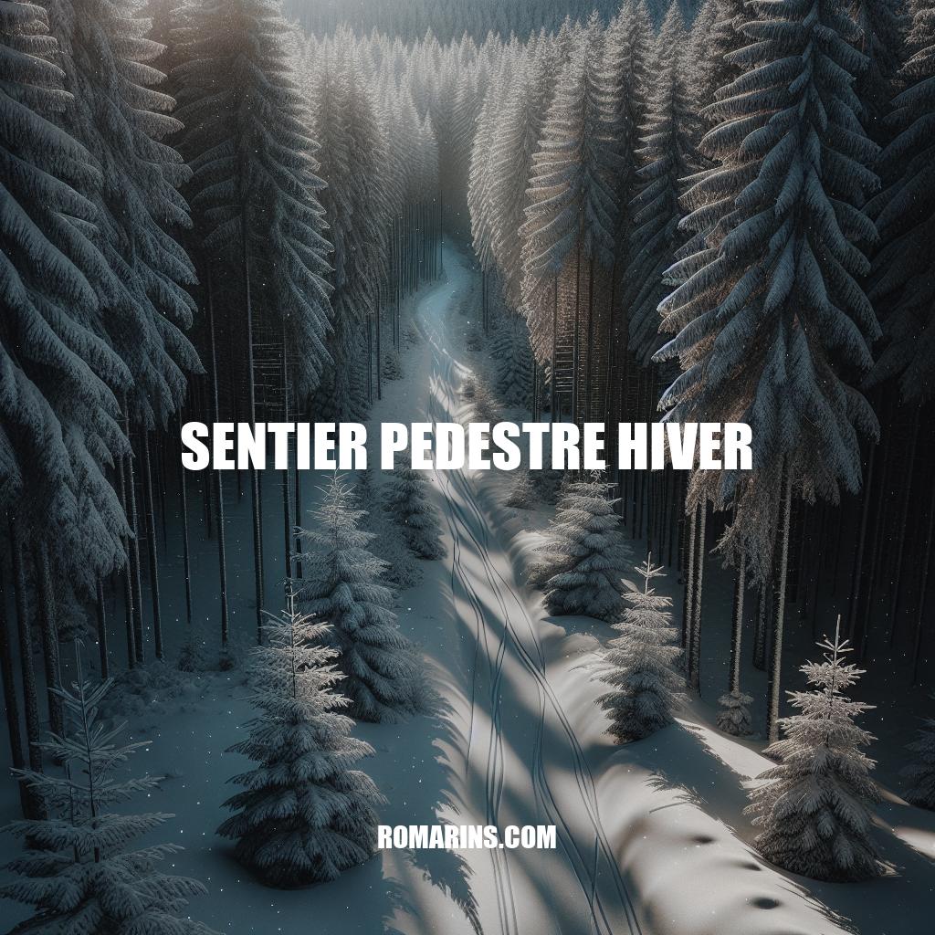 Sentier Pédestre Hiver: Explorez la Magie de l'Hiver