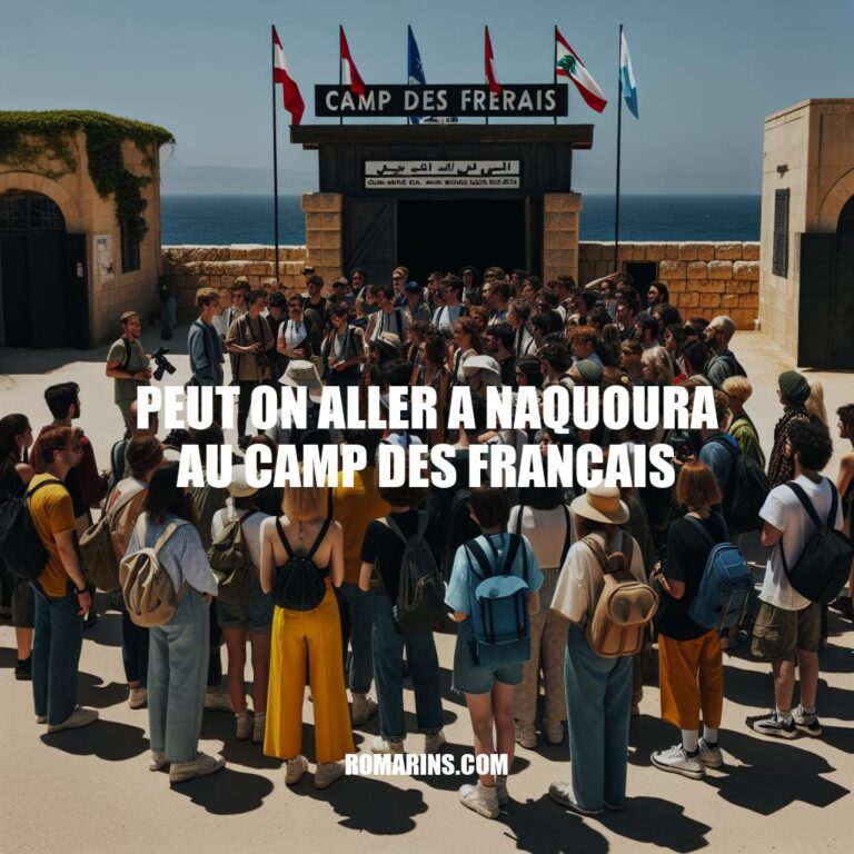 Visite au Camp des Français à Naqoura : Conseils et Restrictions de Voyage