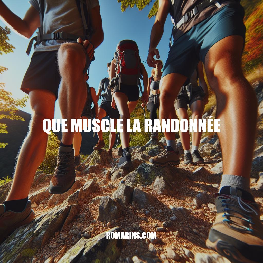 Quels Muscles la Randonnée Renforce: Guide Complet