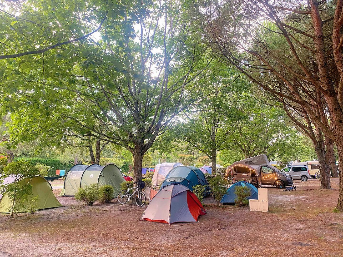 Campings populaires avec emplacements pour tentes dans le Bassin d'Arcachon