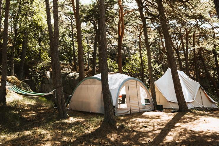 Une image de deux tentes de camping dans une forêt.
