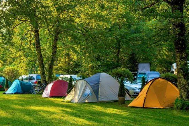 Une rangée de tentes de camping colorées est installée sur une pelouse verte, avec des arbres et des buissons en arrière-plan.