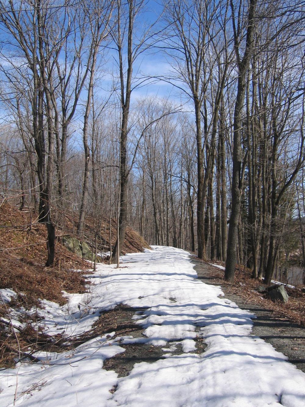 Une image montrant un chemin enneigé qui traverse une forêt darbres nus.