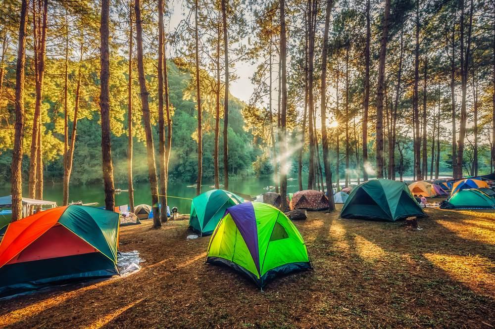 Une image de plusieurs tentes de camping installées dans une forêt.