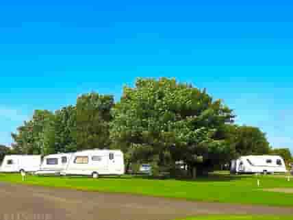 Une rangée de caravanes blanches est garée sur lherbe verte dun camping ombragé.