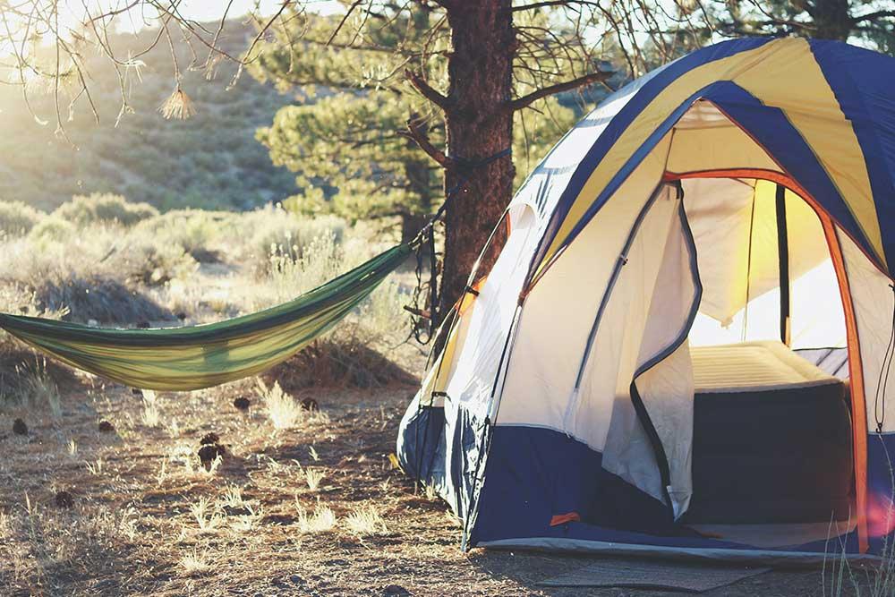 Une tente de camping bleue et jaune est installée dans une forêt avec un hamac vert et jaune à côté.