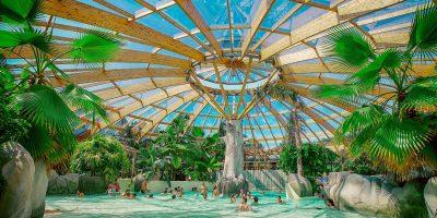 Une piscine couverte avec un toit en verre et des plantes tropicales luxuriantes.