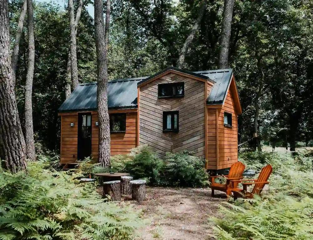 Une petite maison en bois avec un toit en métal est nichée dans une forêt.