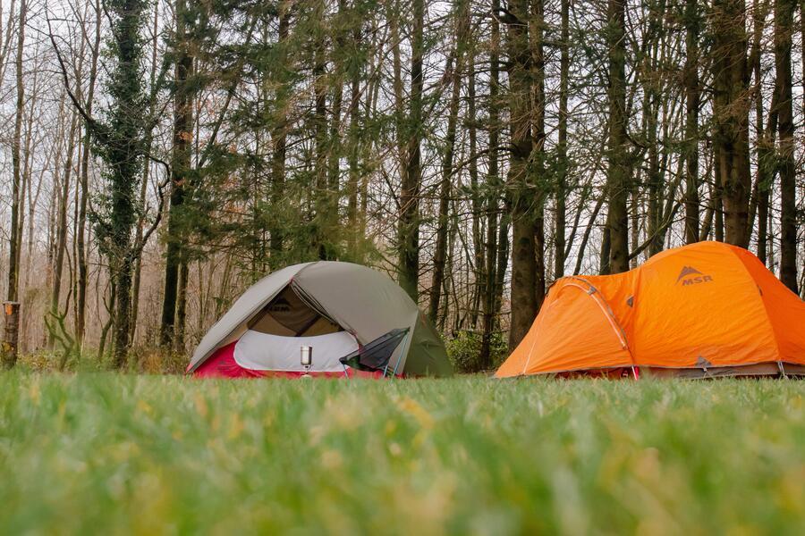 Deux tentes de camping sont installées dans une forêt.