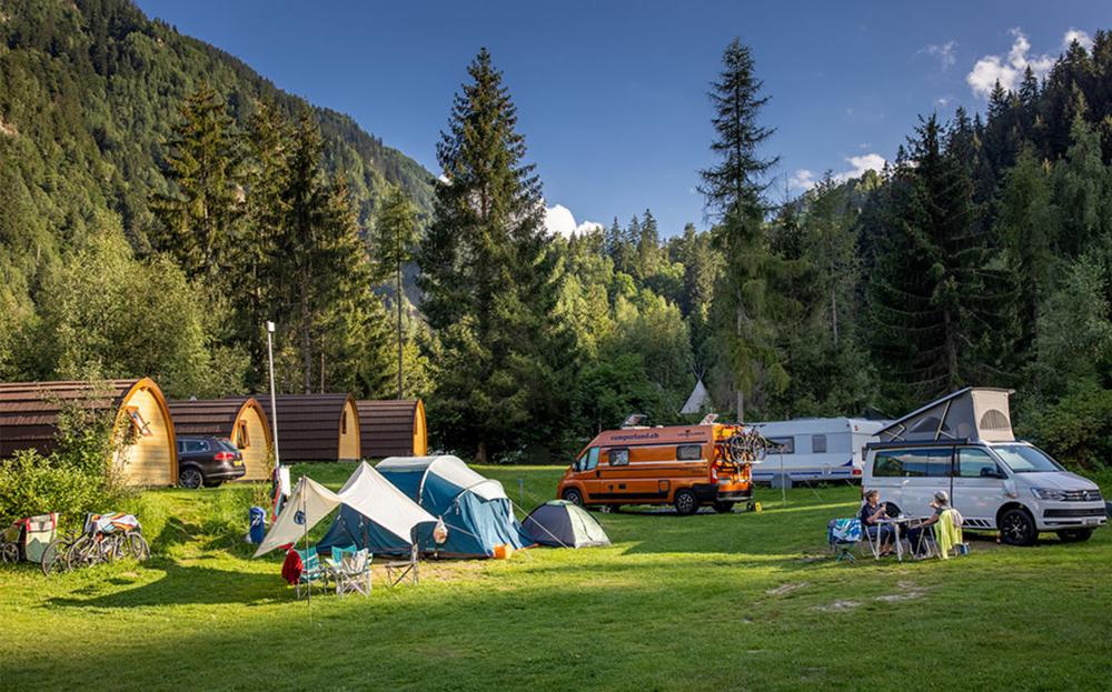 Une aire de camping avec des tentes, des caravanes et des camping-cars dans une forêt de pins.