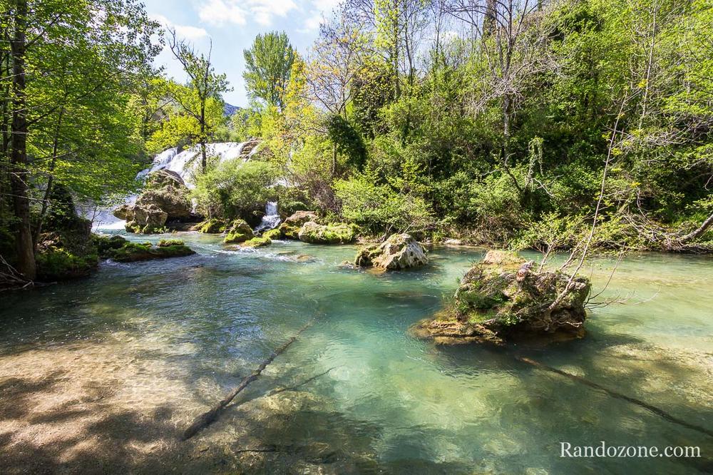 Une rivière coule à travers une forêt avec des arbres et des rochers dans leau.