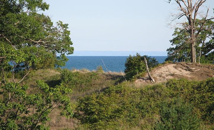 Une vue dun lac bleu avec des arbres verts au premier plan.