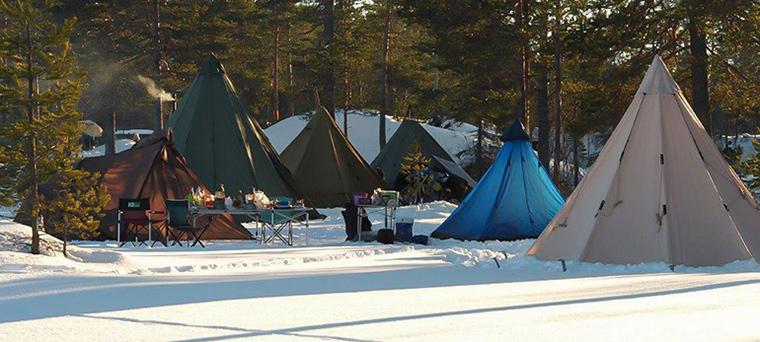 Plusieurs tentes de camping sont installées dans une forêt enneigée.
