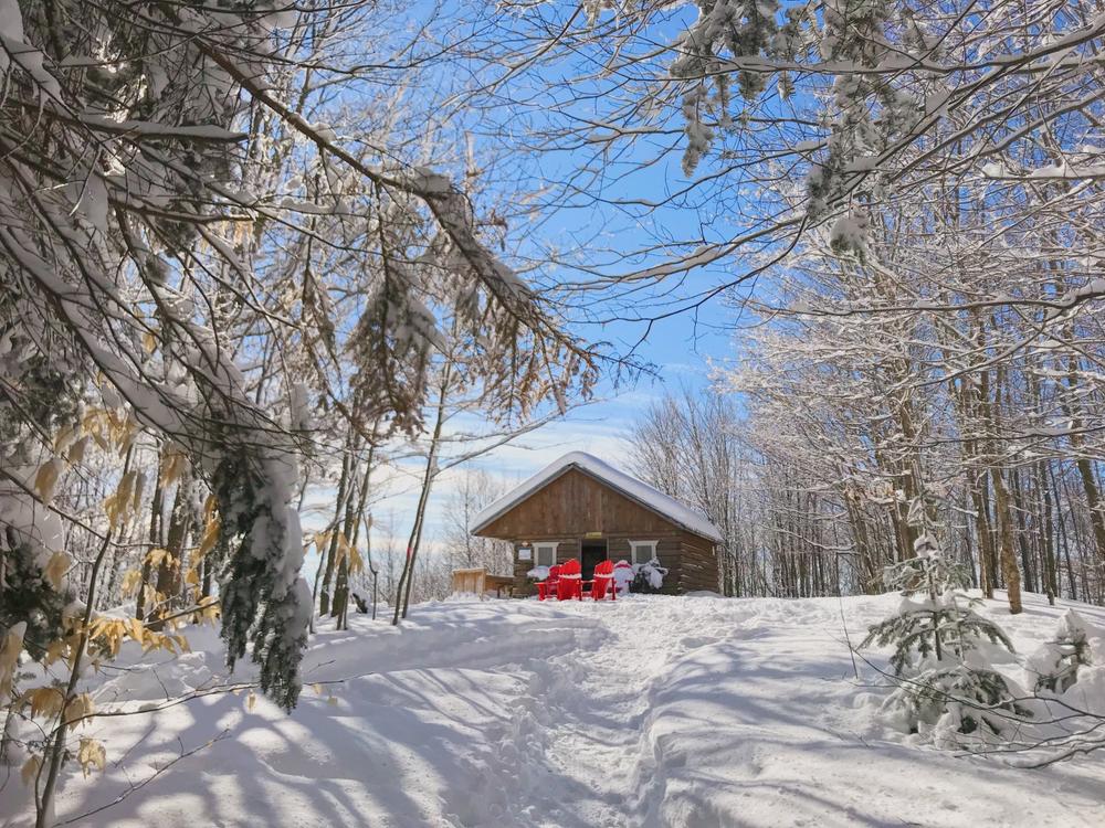 Une cabane en bois rouge avec deux chaises rouges devant, dans une forêt enneigée.