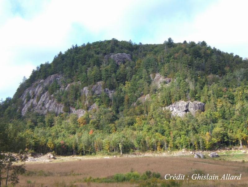 Une montagne rocheuse avec des arbres qui la recouvrent en partie.