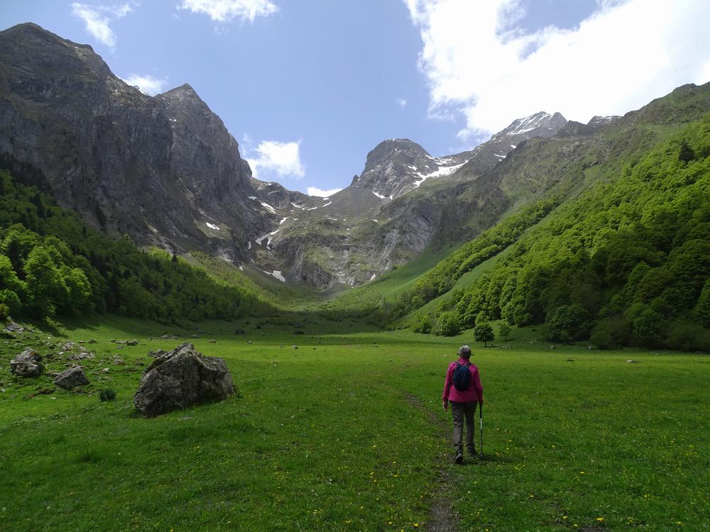 Une femme marche dans un pré verdoyant, en direction de montagnes enneigées.