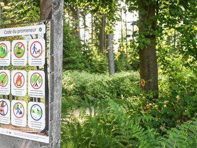 Panneau indiquant les règles à respecter en forêt.