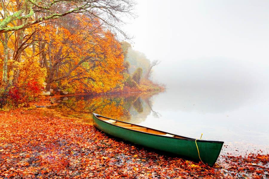 Une image dun canot vert sur une rive parsemée de feuilles darbres aux couleurs de lautomne.