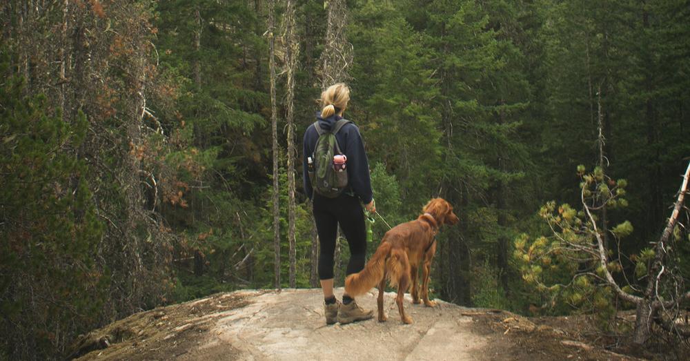 Une femme et son chien roux se tiennent sur un rocher dans une forêt.